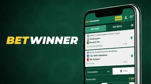 BetWinner in the Philippines Your Ultimate Guide to Online Betting