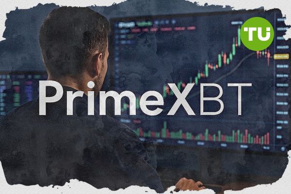 PrimeXBT Contacts Essential Information and Support