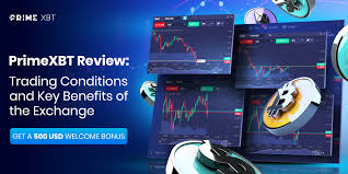 Your Ultimate Guide to the PrimeXBT Trading Hub